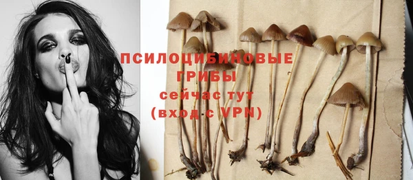 spice Заволжье